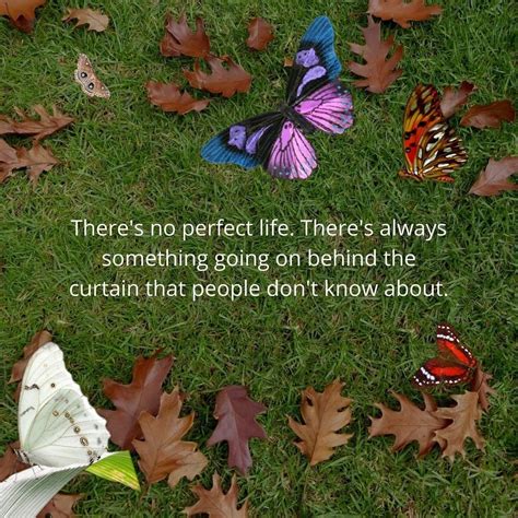 Pin by Rachel Towns on butterfly writings 2019 | Butterfly wings, Butterfly quotes, Butterfly