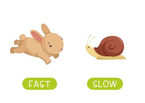 Free Vector Opposite Adjectives With Fast And Slow
