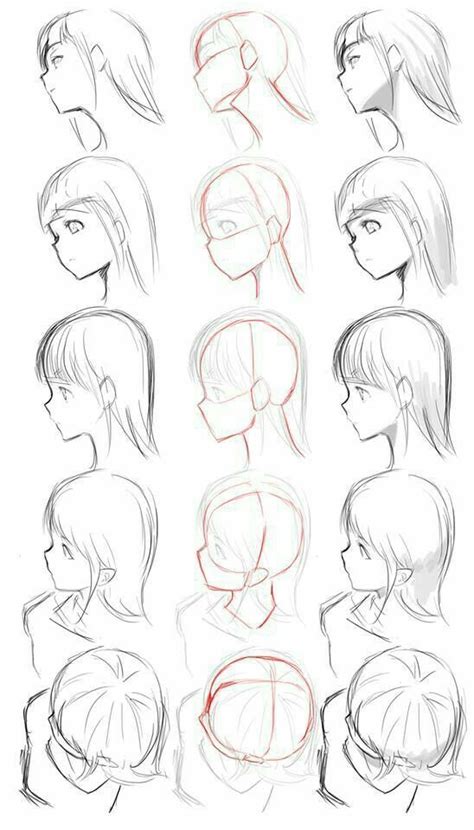 Head Angleperspectives Drawing Manga Drawing Tutorial Drawing