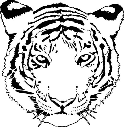 Nice Tiger Wild Face Coloring Page Coloring Pages Tiger Face