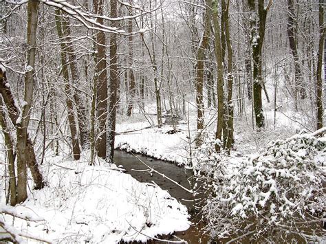 Filewinter Snow Stream Forest West Virginia
