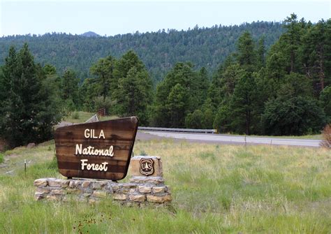 5 Places To Camp In New Mexicos Gila National Forest