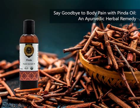 Say Goodbye To Body Pain With Pinda Oil An Ayurvedic Herbal Remedy