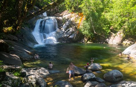 Josephine Falls One Of The Best Waterfalls And Swimming Holes Around