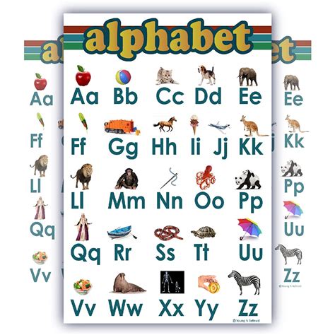 Learning Alphabet Abc Chart White Laminated Classroom Poster Young N