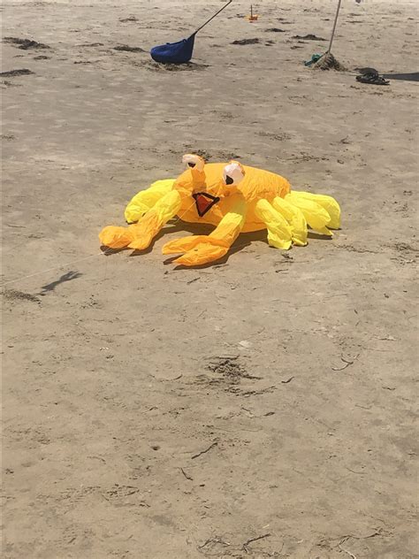 The Best Beach Kites For An Awesome Display If It Can Fly