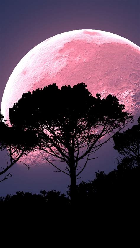 Download Wallpaper 938x1668 Moon Tree Photoshop Night Full Moon