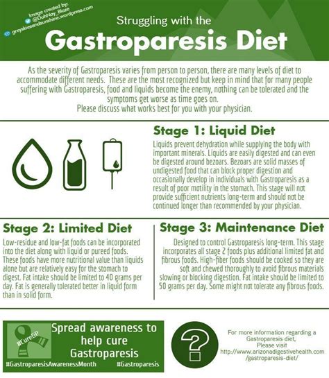 Gastroparesis Diet Foods To Eat And Avoid Rijals Blog