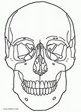 Coloring Skull Crossbones Mexican sketch template
