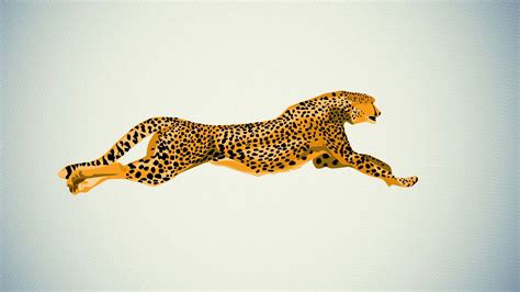 100 Cheetah Wallpapers