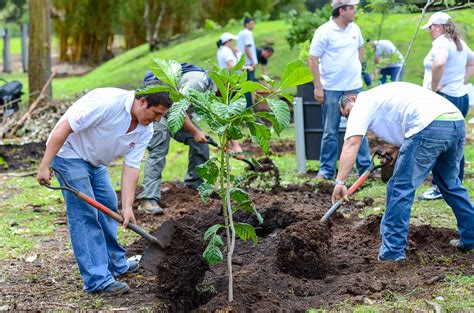 environmental hero reforestation campaign aims to restore biological corridors in costa rica