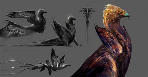 Fantastic Beasts And Where To Find Them Concept Art Boswell Thunderbird
