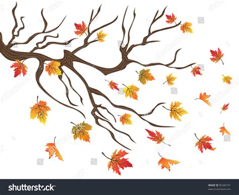 Maples Falling Stock Vector Royalty Free 85283191 Shutterstock