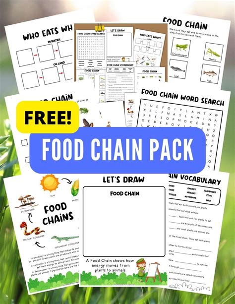 Food Chain Activity Free Printable Little Bins For Little Hands