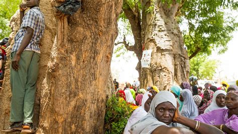 women who fled boko haram tell of devastation and rarely hope the new york times