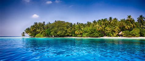 Maldives Beach Palm Trees Sand Sea Hd Wallpaper