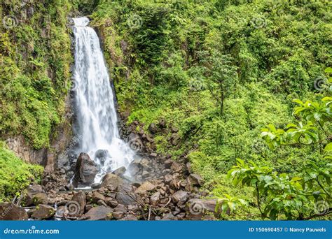 beautiful waterfall in dominica trafalgar falls caribbean island stock image image of
