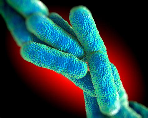 Illinois Faces Another Lawsuit Over Legionnaires Disease Outbreak