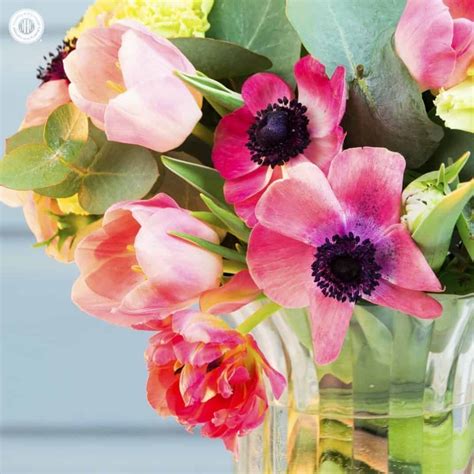 Fresh Spring Bouquet With Anemones Tulips And Eucalyptus