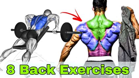 8 Best Back Workout Exercises For Building Muscle Backworkout Youtube