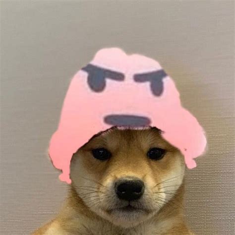 Pin Em Doge With Hat