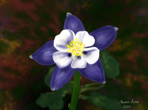 Maybe you would like to learn more about one of these? Columbine - Colorado State Flower | My Digital Art | Pinterest