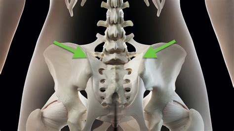Sacroiliac Joint Pain Explainer Chiroup Evidence Based Chiropractic