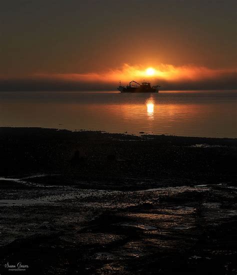 A Foggy Sunrise Bar Harbor Maine Sunrise Photography Morning