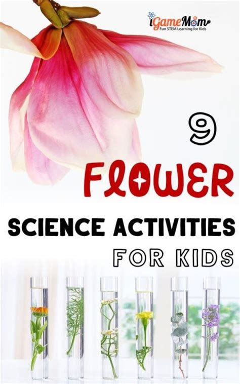 9 Amazing Flower Science Projects For Kids
