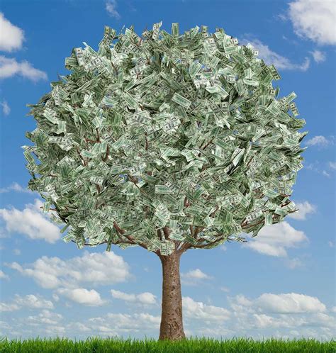 Growing The Money Tree