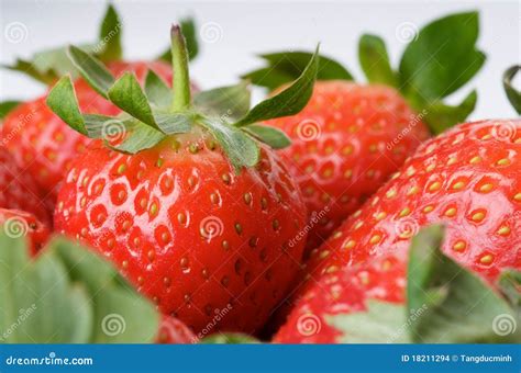 Strawberries Close Up Stock Photo Image Of Texture Temptation 18211294