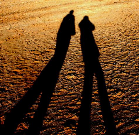 Shadows On A Beach Free Stock Photo Public Domain Pictures