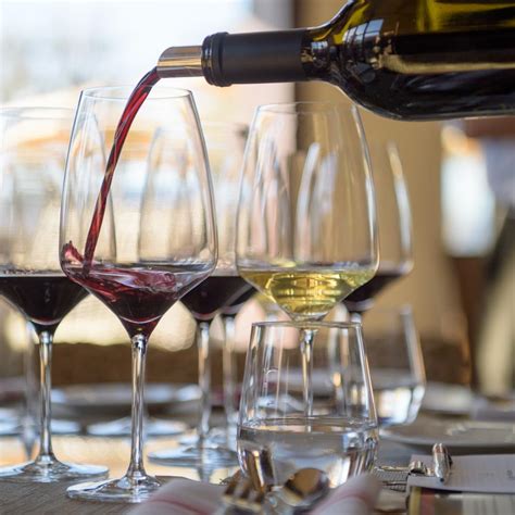 Wine Tasting Tips In Napa Valley Terminology And What To Expect