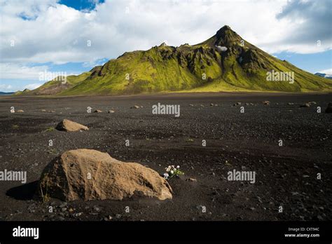 Stones In The Black Lava Desert With Moss Covered Mountains Along The