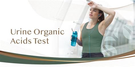 Urine Organic Acid Test W9wellness