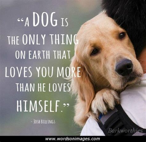 Learn all about dog behaviour & training. Puppy Love Quotes. QuotesGram