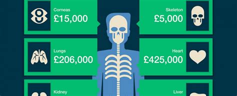 This Is How Much Your Body Is Worth ScienceAlert