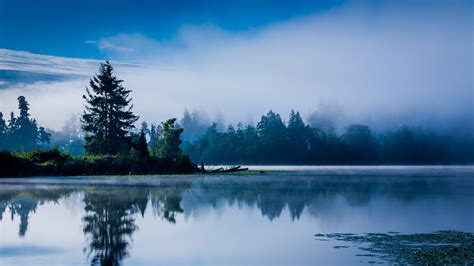 Blue Forest In The Morning Mist Trees Lake Photos Cantik
