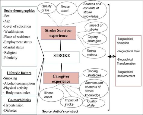 2 Conceptual Framework Showing Determinants Of Stroke And Experiences
