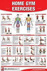 Pacific Fitness Zuma Exercises Images