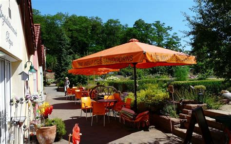 Glindower erzeugermarkt | biergarten am see 6. Hofladen und Spezialitätenmarkt im Sanddorn-Garten ...