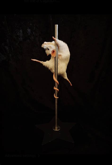 Stripper Mouse Lola Etsy