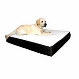 Orthopedic Beds For Dogs Canada Pictures