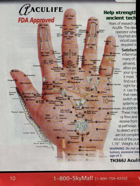 Gesundheit Acupressurereflexology Hand Chart