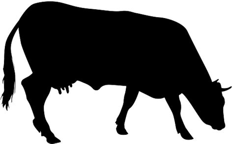 Black Silhouette Of Cash Cow On White Background Stock Illustration