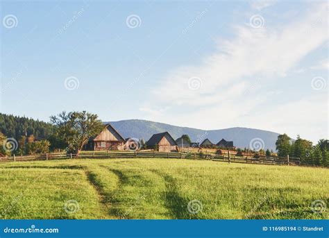 Village Houses On Hills With Green Meadows In Summer Day House Of
