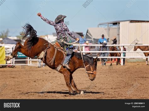Cowboy Riding Bucking Image And Photo Free Trial Bigstock