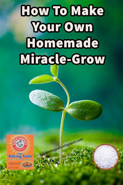 How To Make Your Own Homemade Miracle Grow