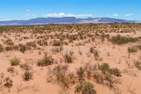 Dry Arid Red Sand Desert Stock Photo Image Of Geological 94162442