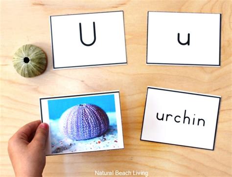 Alphabet Printable Picture Cards Visual Word Cards Natural Beach Living